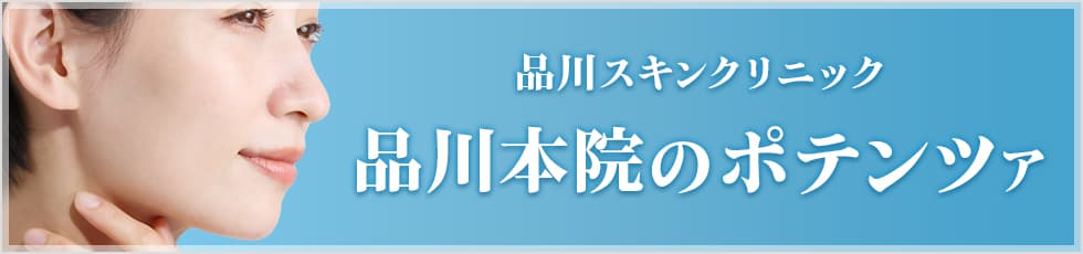 品川スキンクリニック 品川本院のポテンツァ