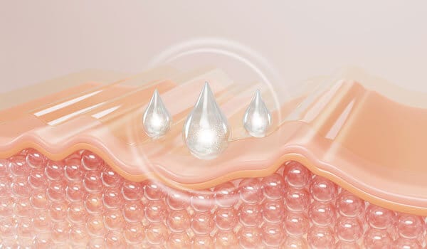 美容成分の生成が活性化される【画像】