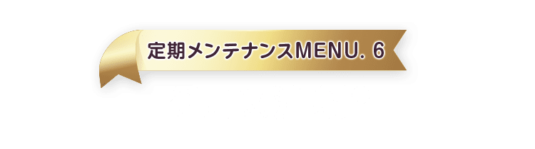定期メンテナンスMENU.6 グロス注射®