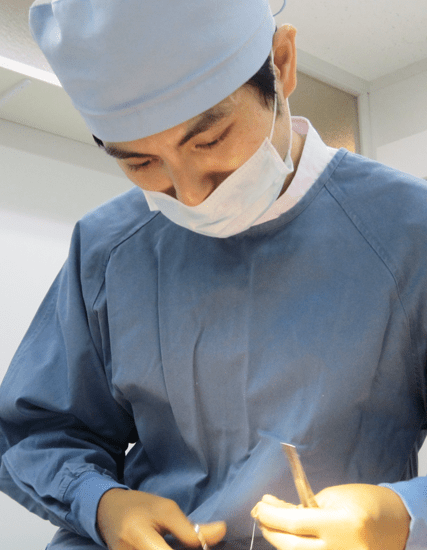 診察の様子