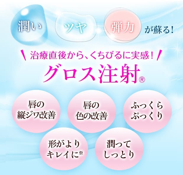 潤い・ツヤ・弾力が蘇る!治療直後から、くちびるに実感!グロス注射® 唇の縦ジワ改善/唇の色の改善/ふっくらぷっくり/形がよりキレイに※/潤ってしっとり【画像】