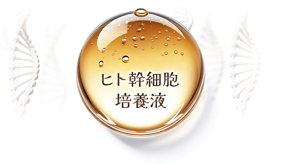 ヒト幹細胞培養液