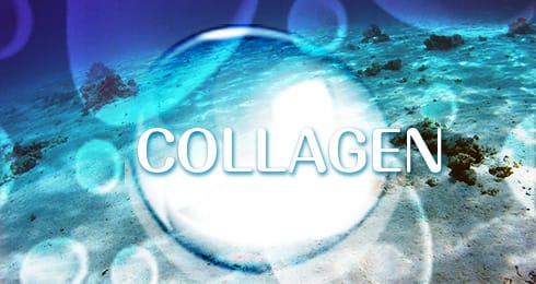 COLLAGEN