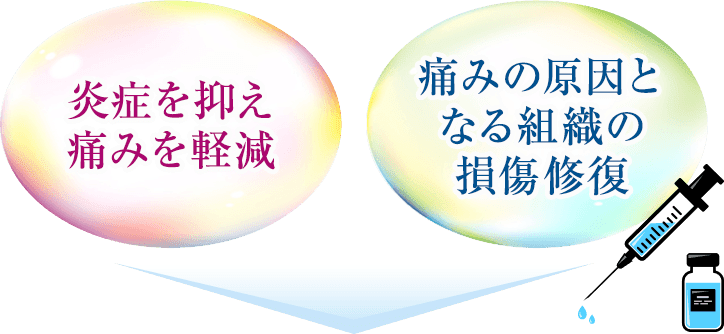 炎症を抑え痛みを軽減・痛みの原因となる組織の損傷修復