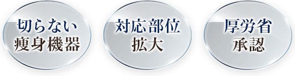 「切らない痩身機器」「対応部位拡大」「厚労省承認」【画像】