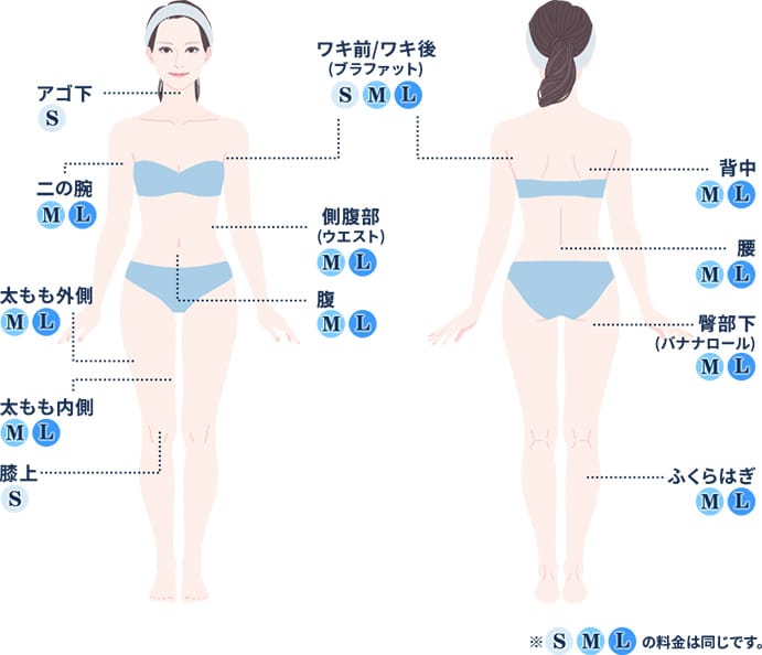 適応部位一覧【画像】