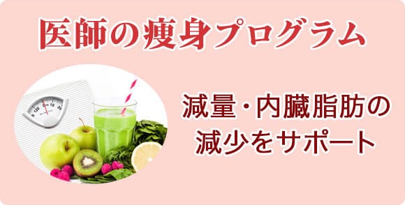 医師の痩身プログラム（減量・内臓脂肪の減少をサポート）【画像】