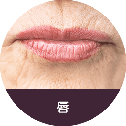 唇