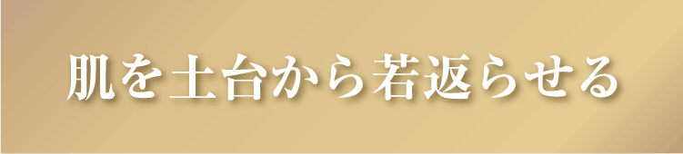肌を土台から若返らせる