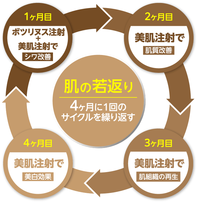 肌の若返り 4ヶ月に1回のサイクルを繰り返す 1ヶ月目:ボツリヌス注射+美肌注射でシワ改善 2ヶ月目:美肌注射で肌質改善 3ヶ月目:美肌注射で肌組織の再生 4ヶ月目:美肌注射で美白効果