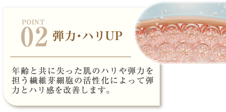 POINT02 弾力・ハリUP 年齢と共に失った肌のハリや弾力を担う繊維芽細胞の活性化によって弾力とハリ感を改善します。