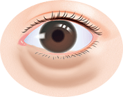 目のクマ・たるみをなんとかしたい