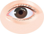 ぼやけてみえる涙袋