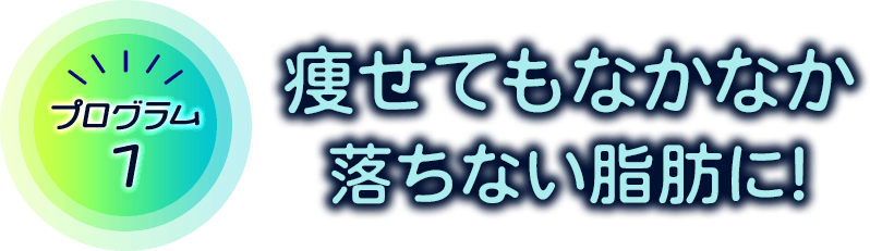 プログラム1 体重は減ったけど部分的に痩せたい