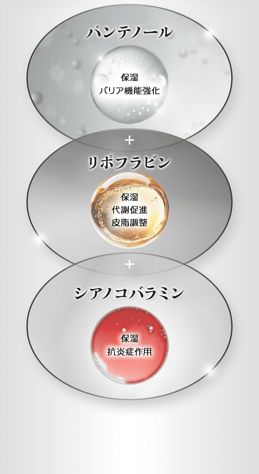 パンテノール 保湿・バリア機能強化 + リポフラビン 保湿・代謝促進・皮脂調整 + シアノコバラミン 保湿・抗炎症作用