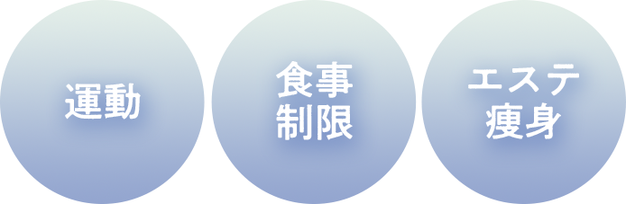 一般的なダイエット法の例